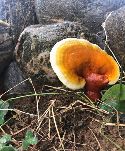 1577763204530573.png 2.png