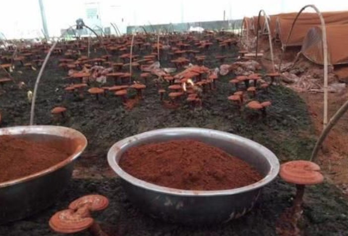 1578023048107187.png 1.png